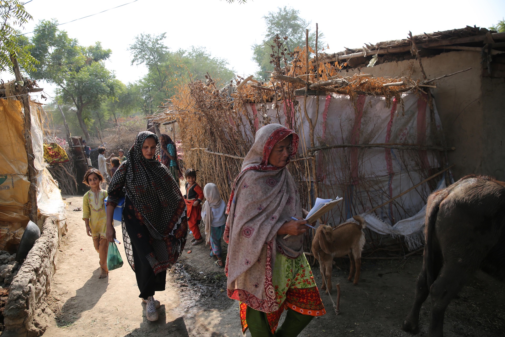 Polio-Unknown-Pakistan
