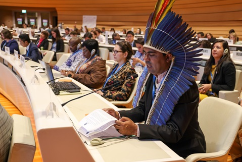 52929149631_1920px A participant to the 76th WHA, wearing a traditional American indian headgear