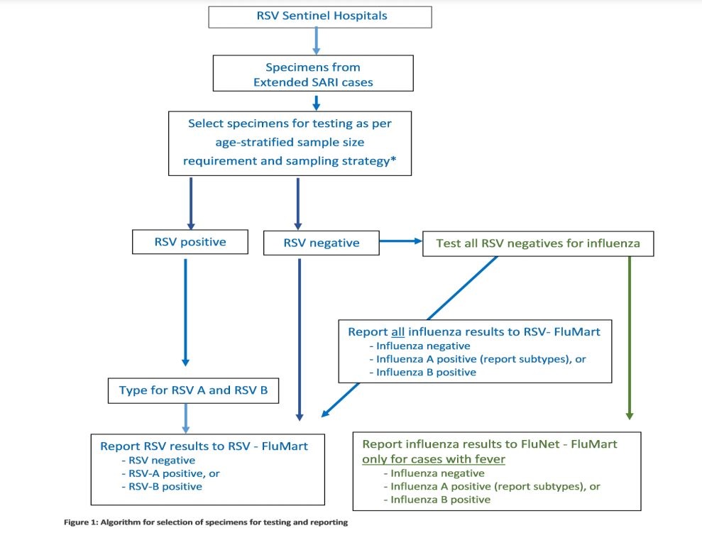 Sampling_strategy_phase2 Sampling_strategy_phase2