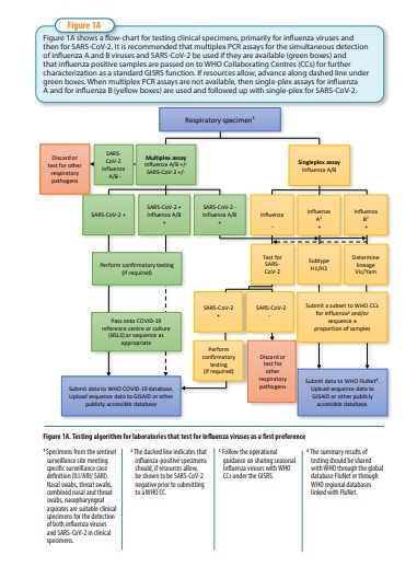 influenza-covid-algoritm_testing_1A Laboratory testing for COVID-19 - testing algorithm 1A