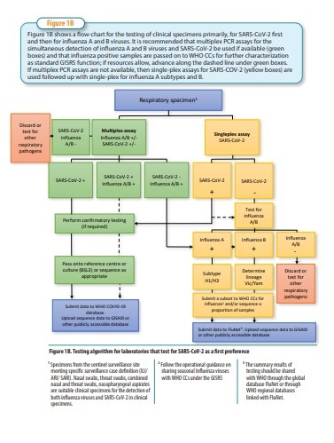 teting_algorithm1B_influenza_Covid Testing algorithm 1B