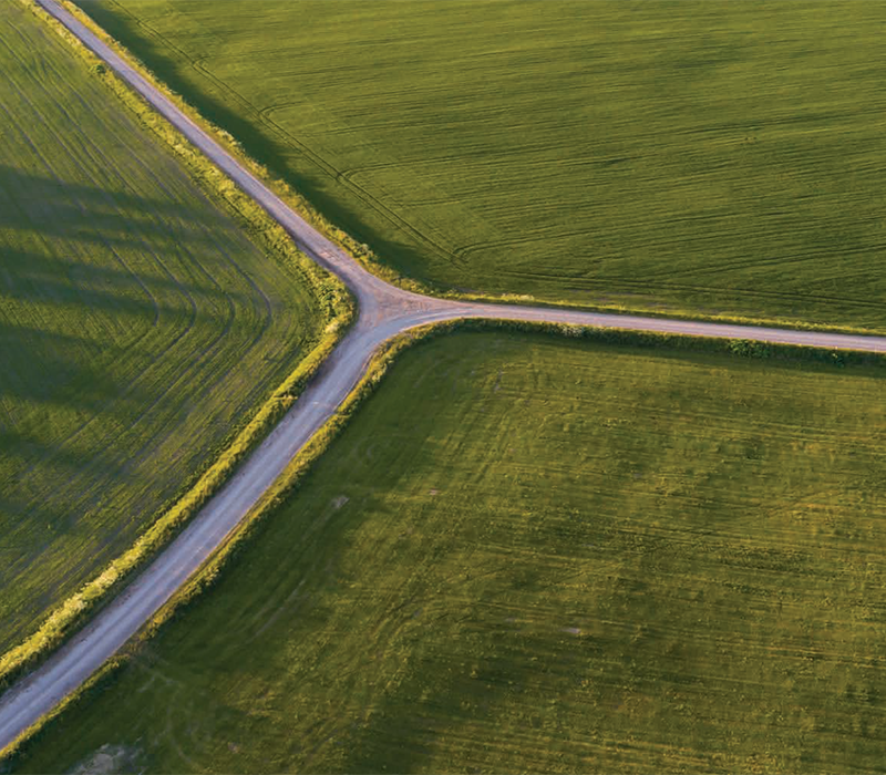 Global spending on health 2024 Global spending on health 2024