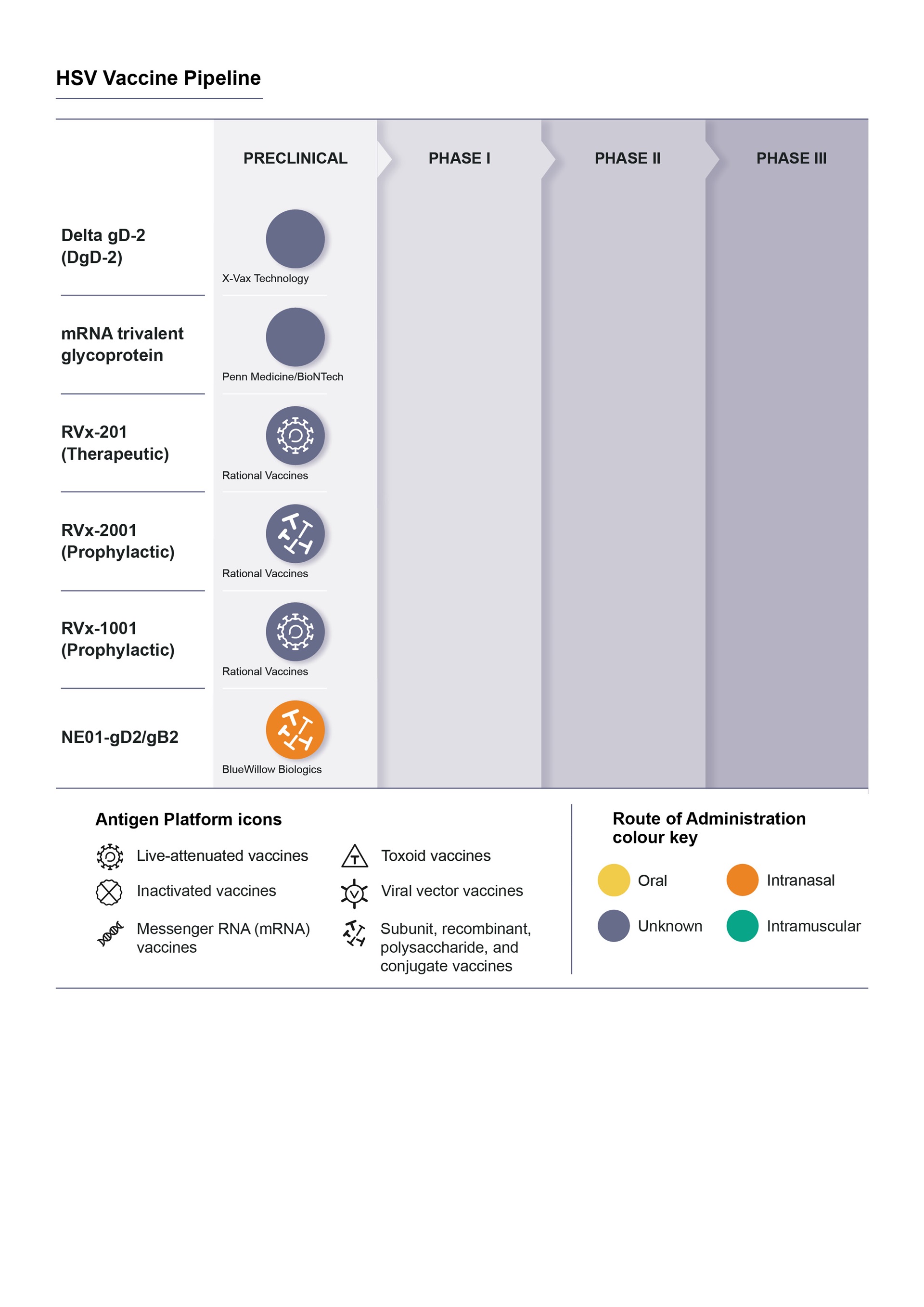 who-ibv_HSV_23062022_EO