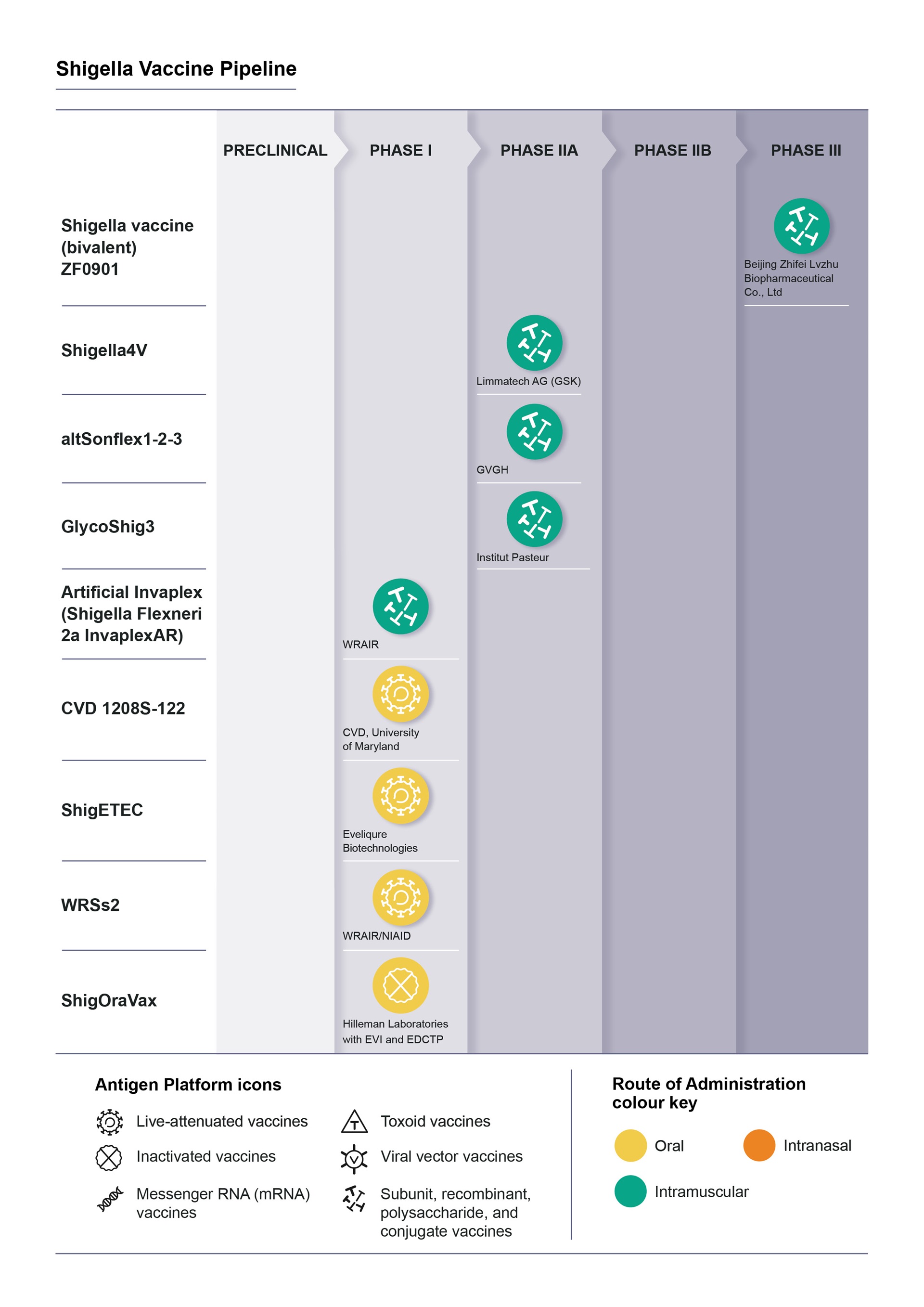 WHO-IVB-Diagrams-Shigella-11042022-EO Diagram Shigella - WHO IVB