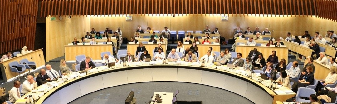 SAGE plenary SAGE _meeting_banner