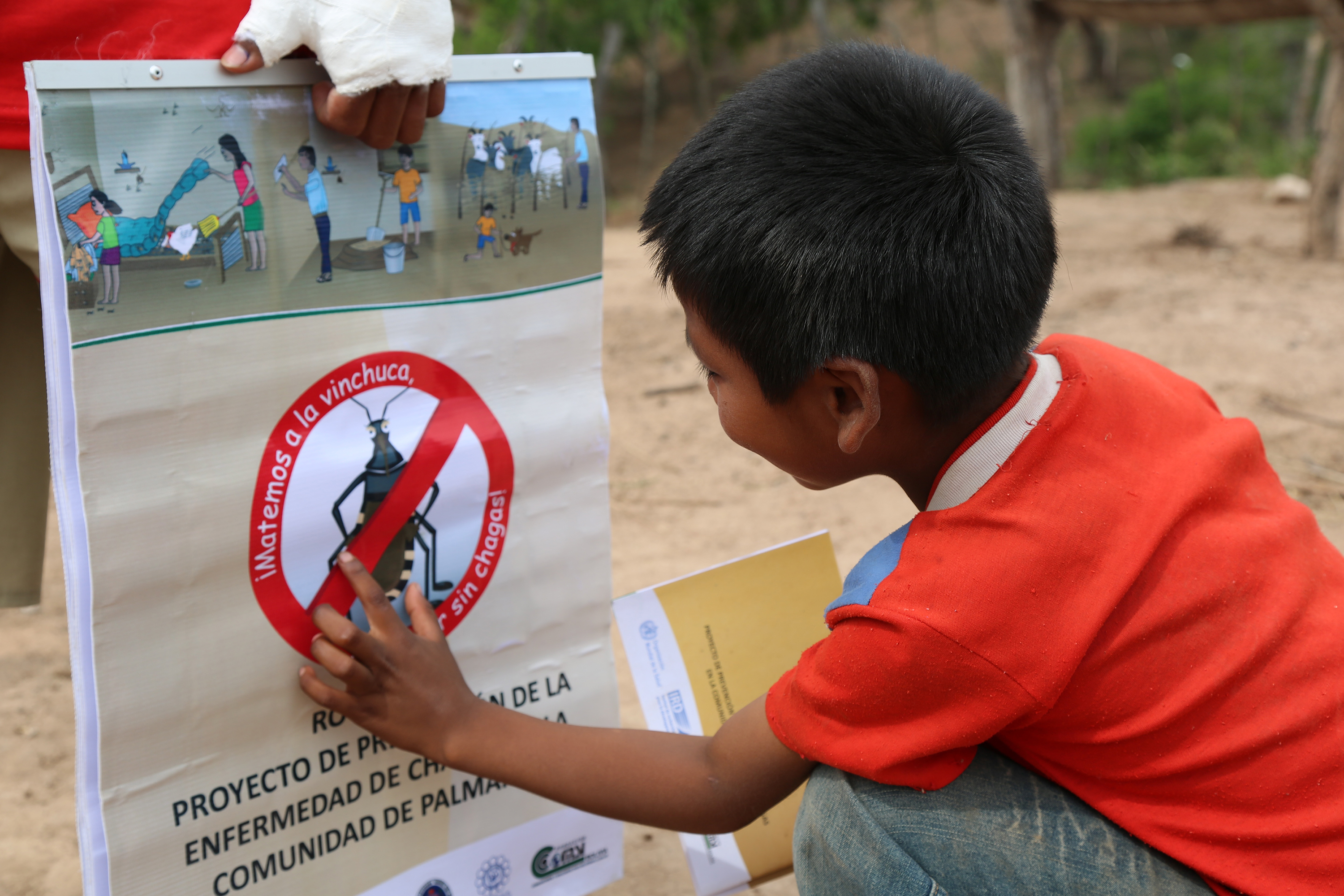 BOLIVIA_TDR_CHAGAS_2013_Education Boy looking at wall paper for Chagas disease
