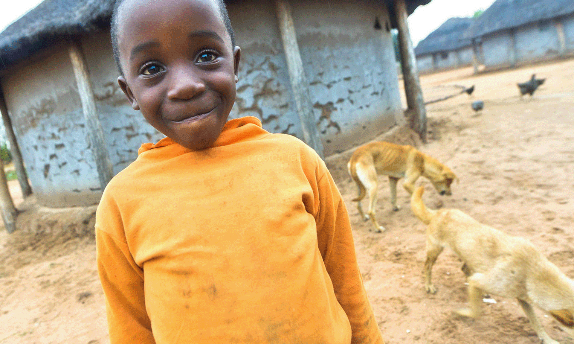 International Course on Rabies Surveillance and Control Zimbabwe