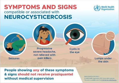 Symptoms and signs compatible or associated with neurocysticercosis