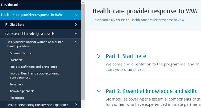 VAW health care provider Health sector response to violence against women