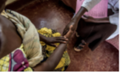 policy database vaw Violence against women data