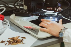 stereo-microscope scientist  examining samples through stereo-microscope.