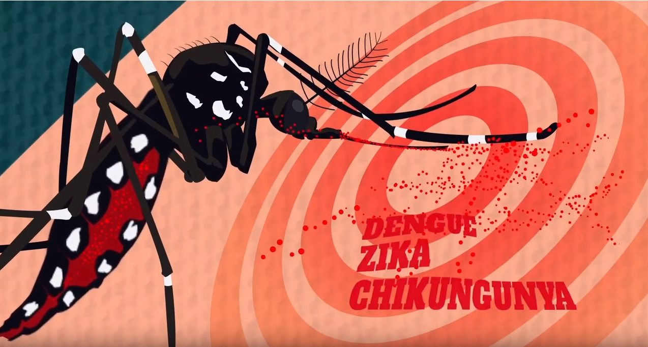 zika-youtube-videos-paho zika-youtube-videos-paho