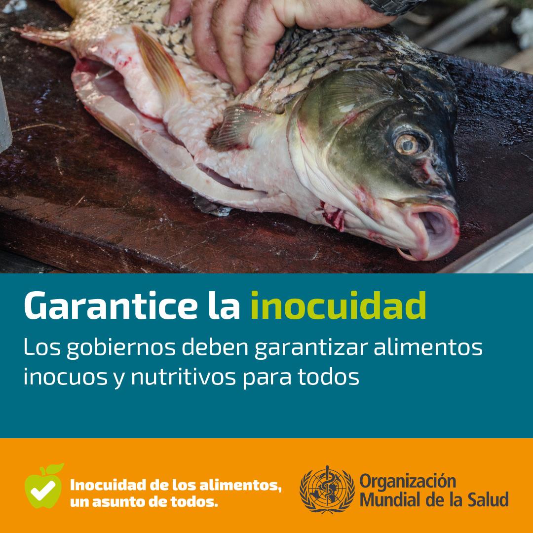 Garantice la inocuidad ES