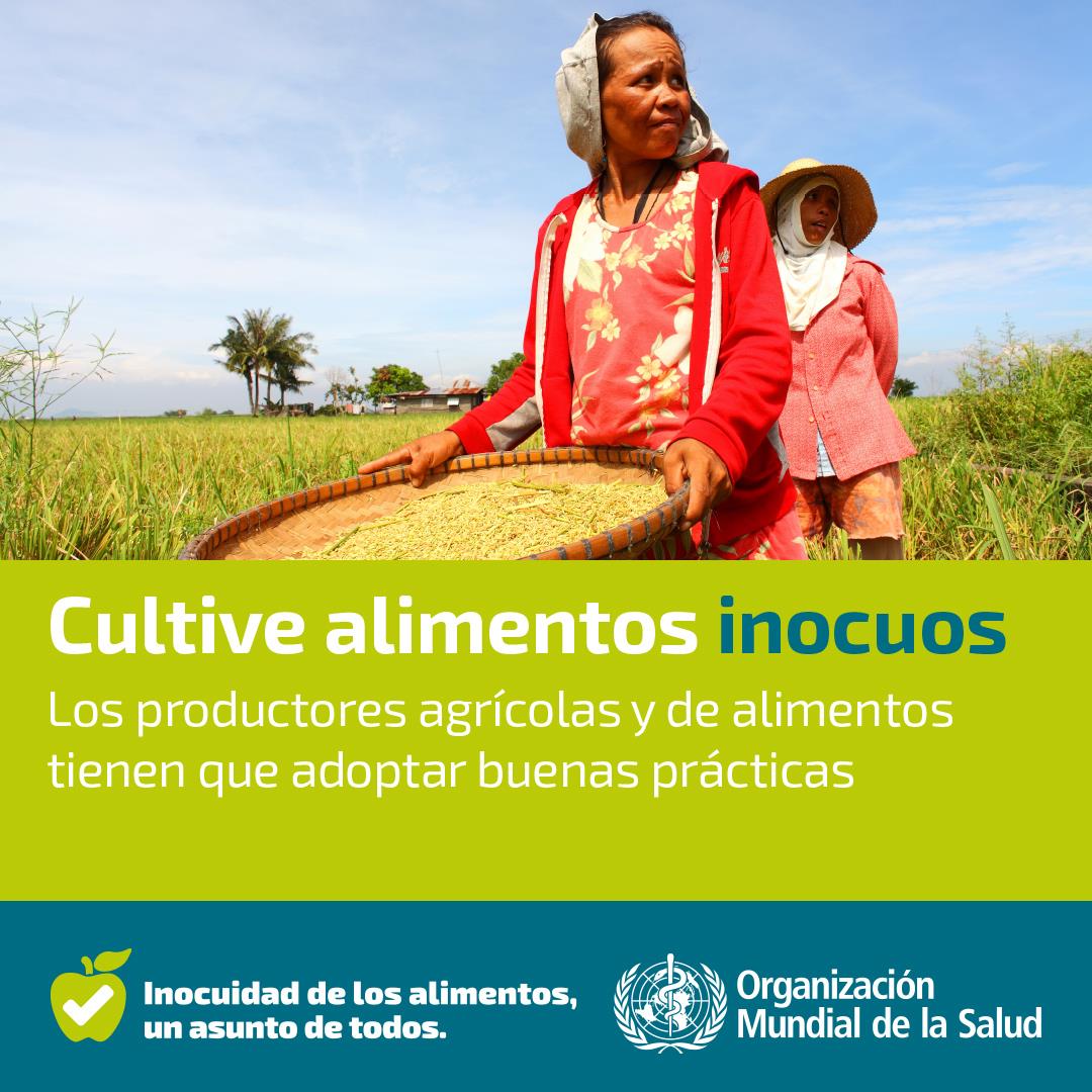 Cultive alimentos inocuos ES