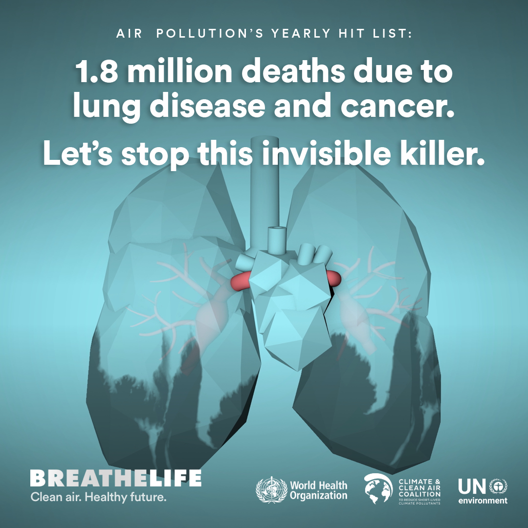 1.8 million deaths due to lung disease and cancer. (BreatheLife) Air pollution causes 1.7 million deaths due to lung disease and cancer every year.