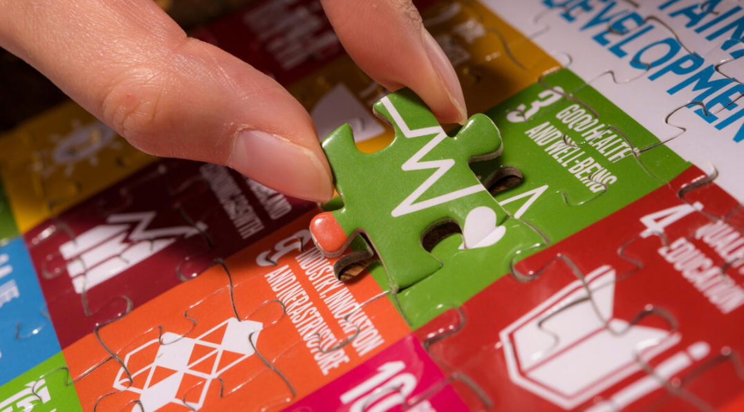 swisspeace swisspeace