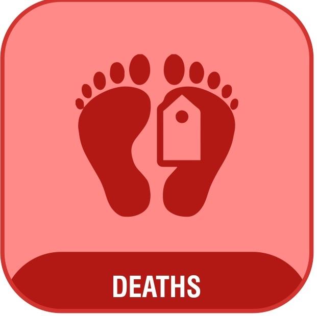 4COVIDDeathCase 4COVIDDeathCase