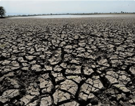 climate-change