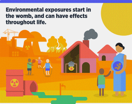 environmental-health
