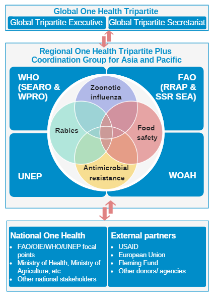 The Regional Tripartite Plus Coordination for Sustainable One Health in Asia