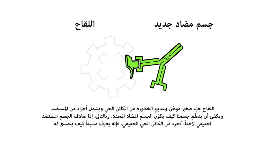 Vaccines Antibody illustration 02_29 Oct Vaccines Antibody illustration 02_29 Oct
