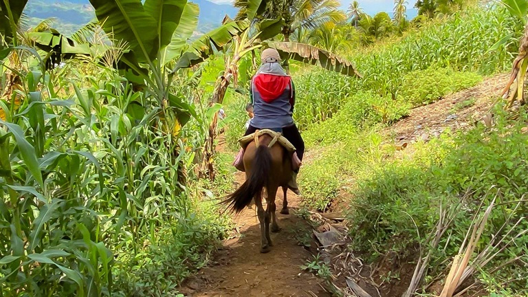 1993 A Doctor to the Barrios rides a horse to reach families in geographically-isolated and disadvantaged areas of Maguindanao del Norte during the Chikiting Ligtas Campaign in 2023.
