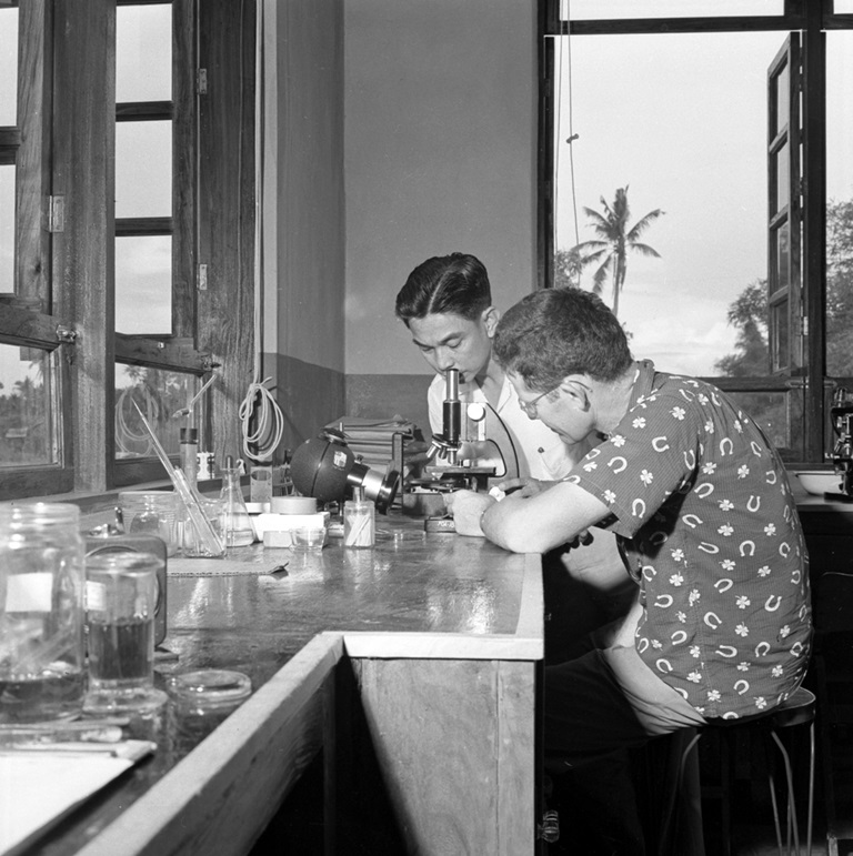 1950s Two doctors inspect parasites in a laboratory. They both work under the WHO Schistosomiasis Control Pilot Project in Palo, Leyte in the 1950s.
