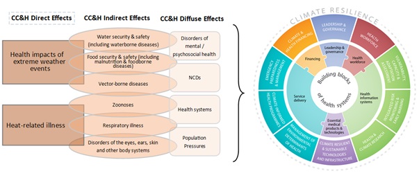 cch_directeffects cch_directeffects