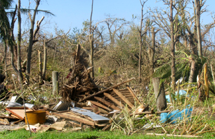 tcpam20150319 tcpam20150319