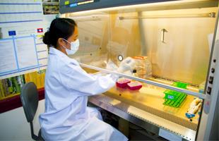 WHO calls for research and development proposals for medicines, diagnostics and health technologies WHO calls for research and development proposals for medicines, diagnostics and health technologies